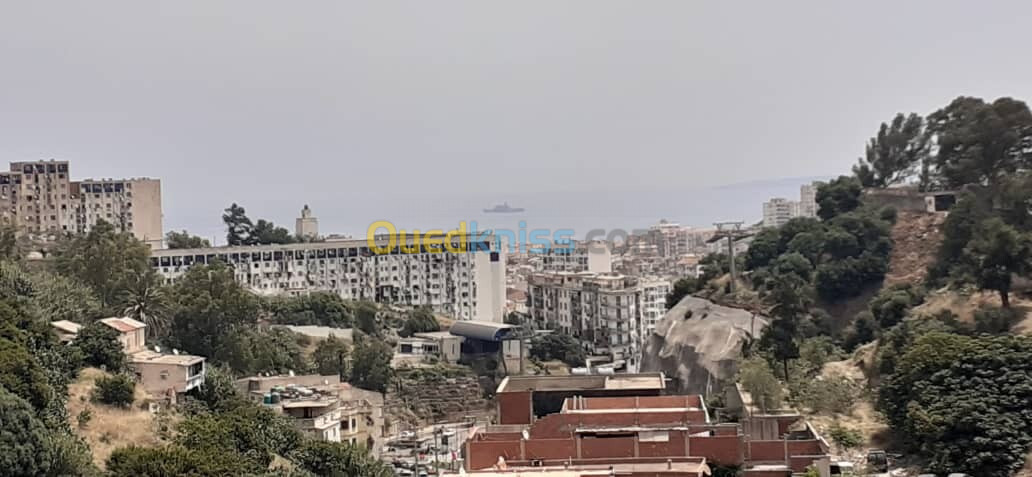 Vente Terrain Alger Bouzareah