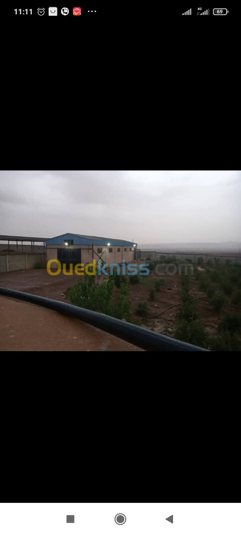 Vente Terrain Agricole Oran El Kerma