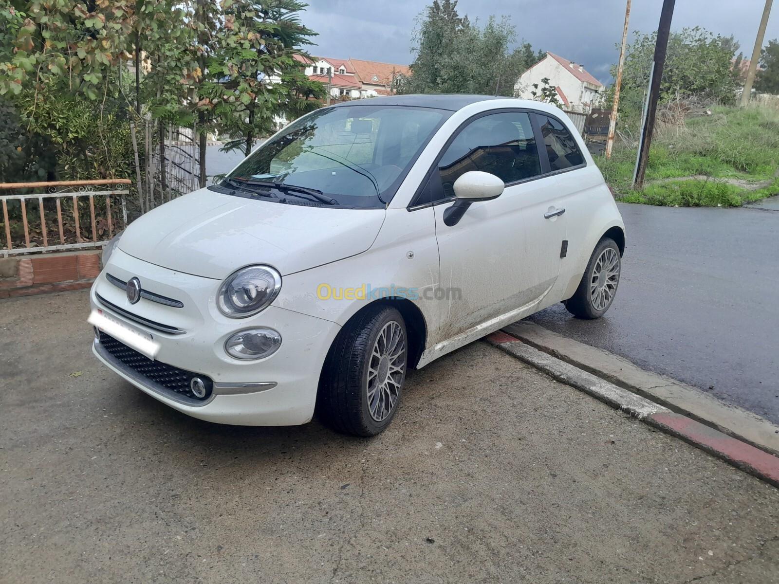 Fiat 500 2024 