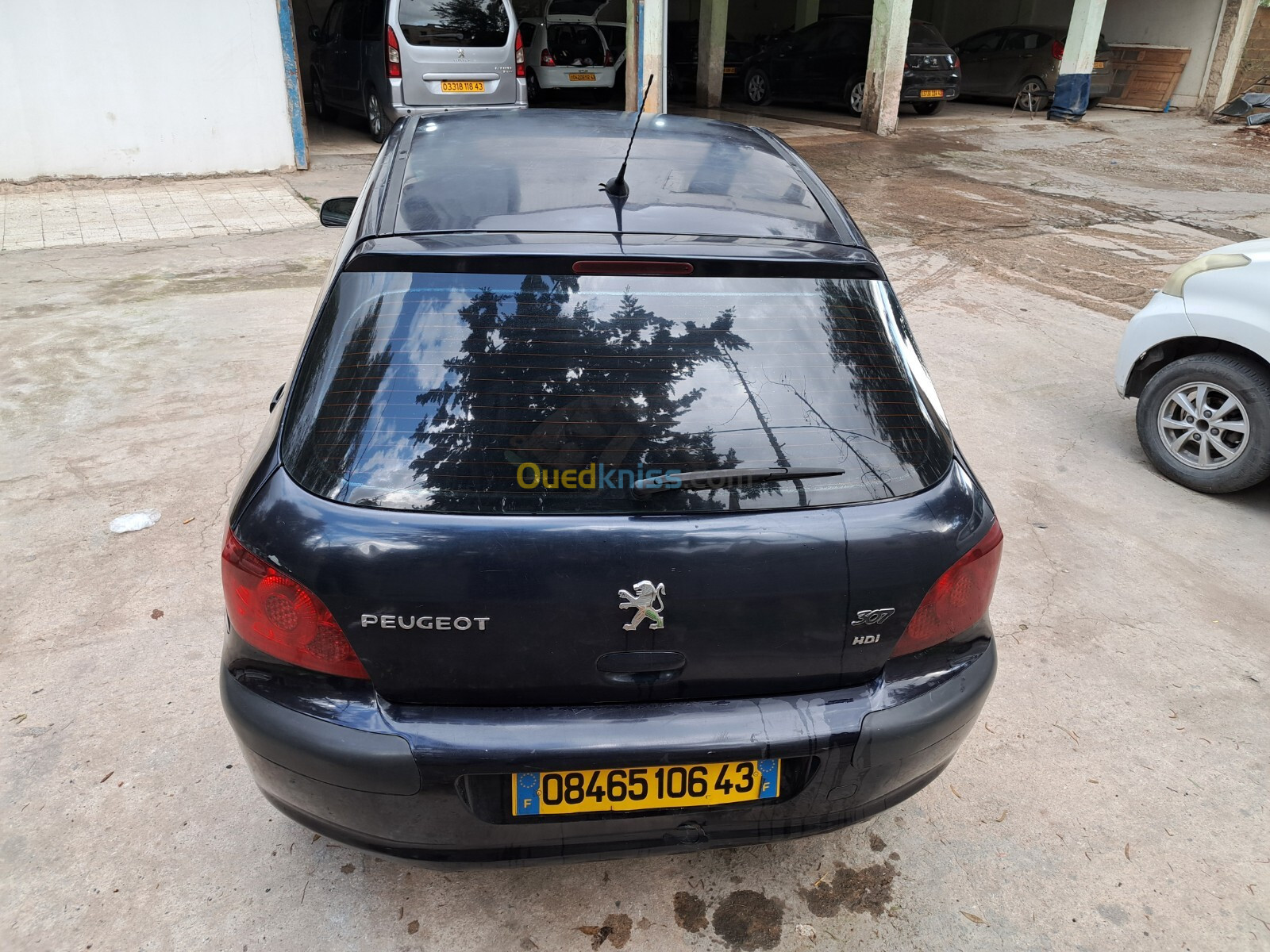 Peugeot 307 2006 Oxygo