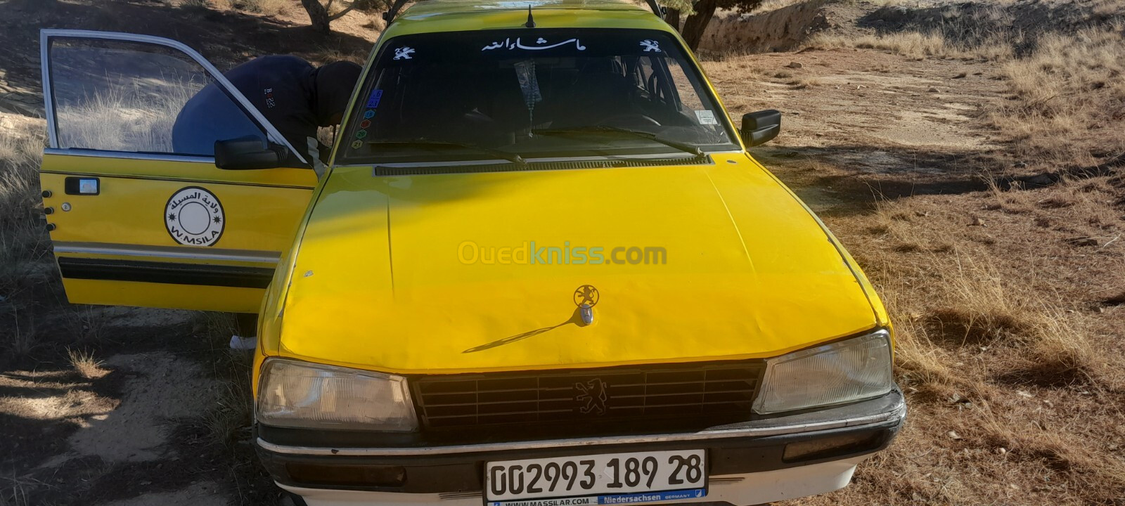 Peugeot 505 1989 505