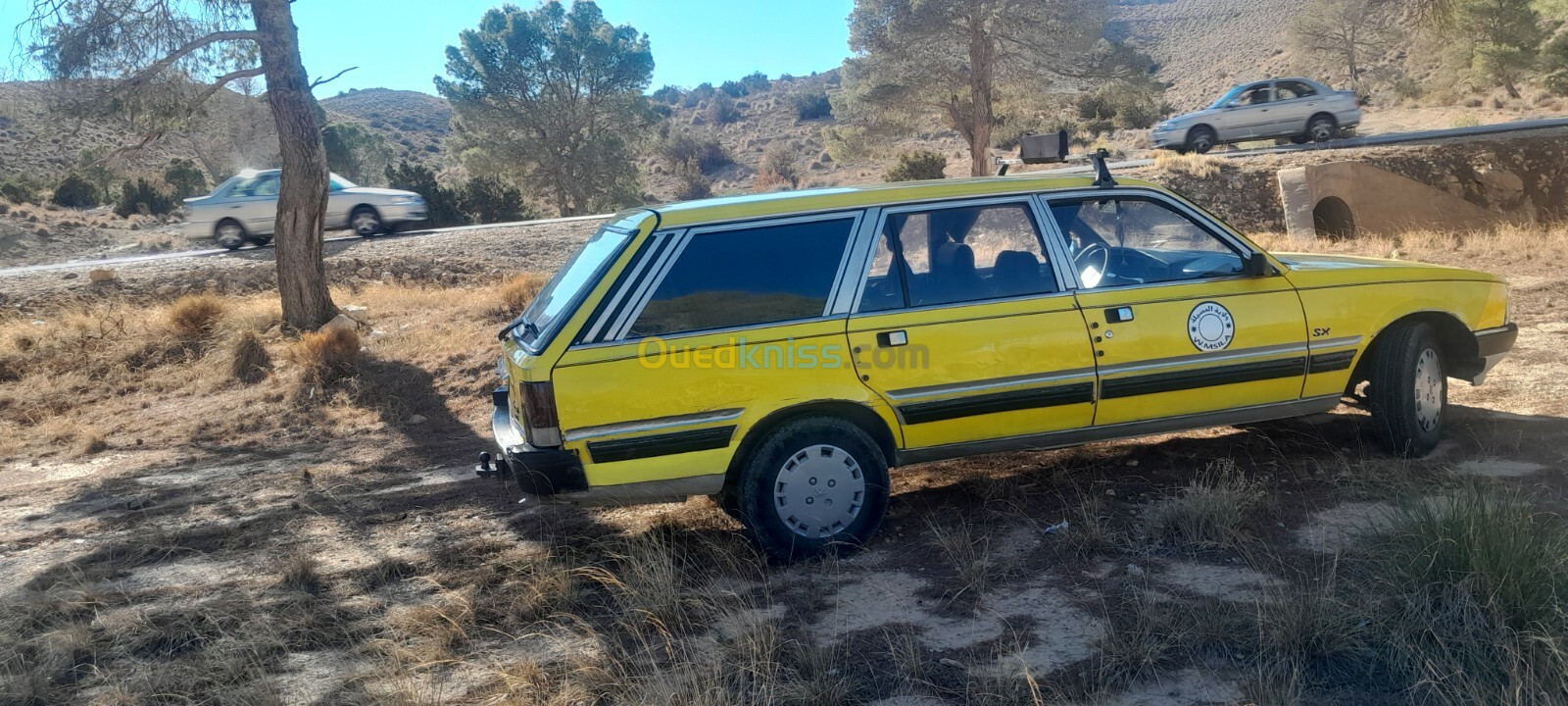 Peugeot 505 1989 505