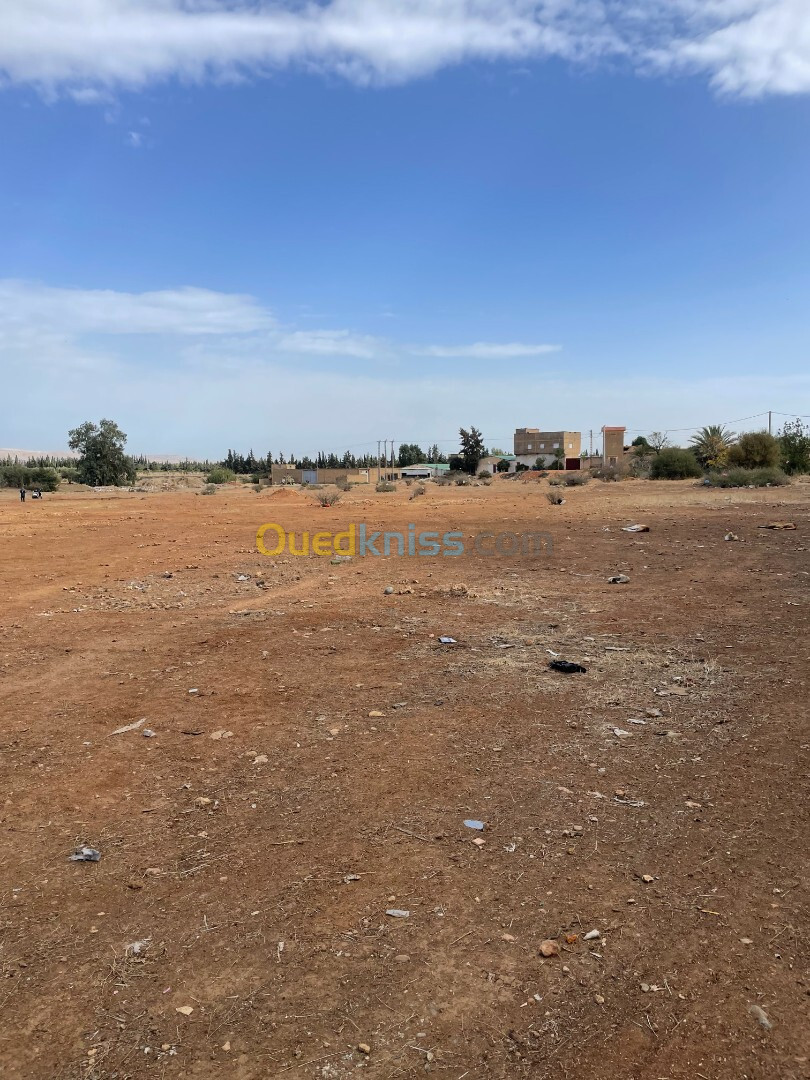 Vente Terrain Relizane Oued rhiou