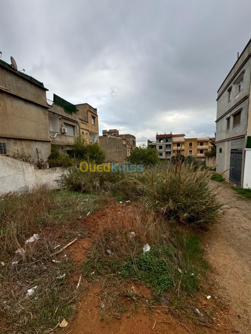 Vente Terrain Alger Saoula