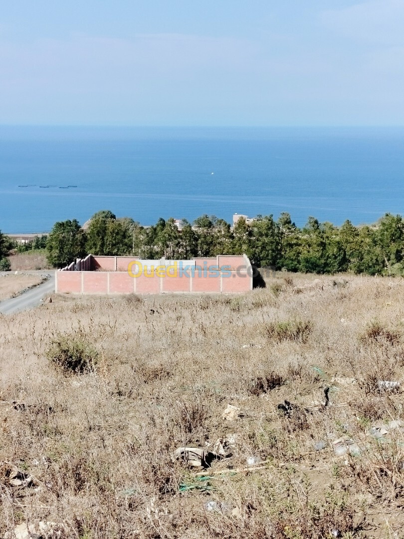 Vente Terrain Boumerdès Afir