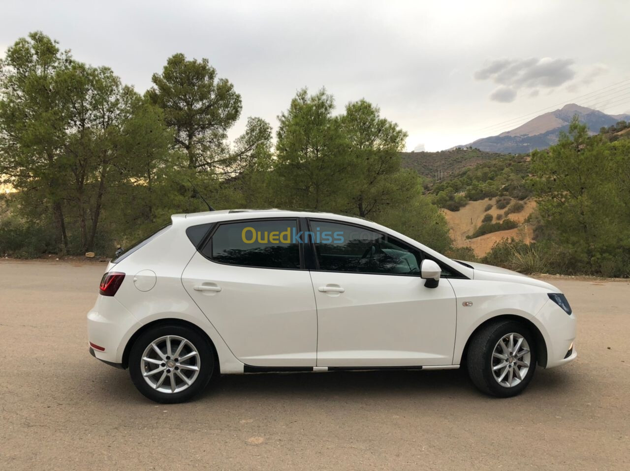 Seat Ibiza 2013 Fully