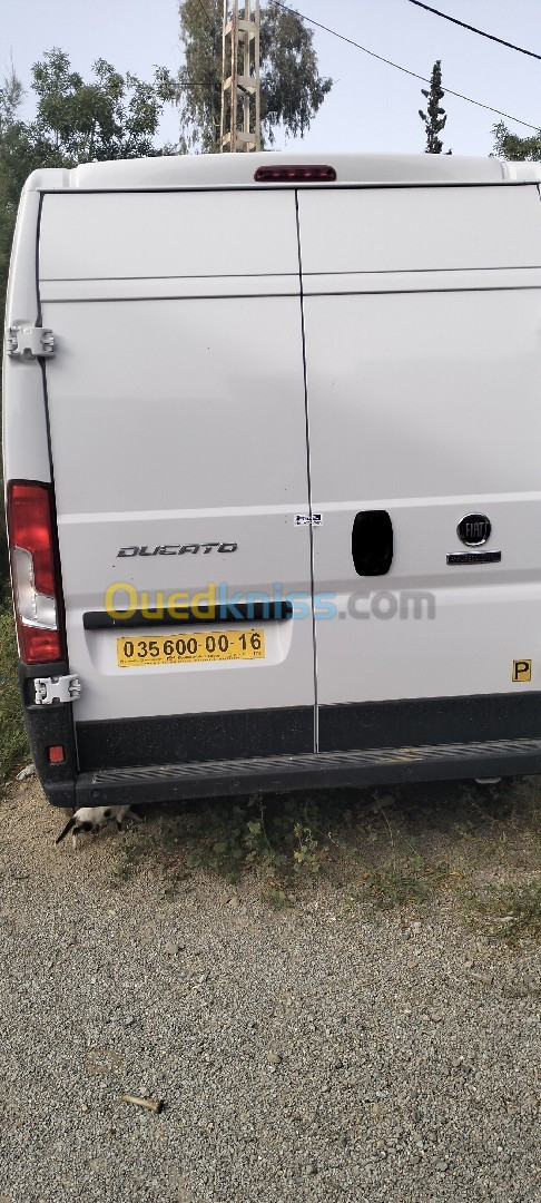 Fiat Ducato 2023