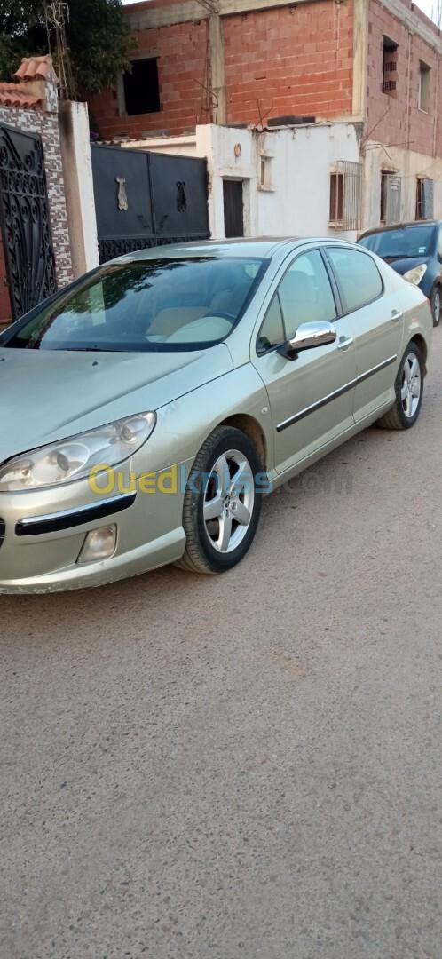 Peugeot 407 2005 407