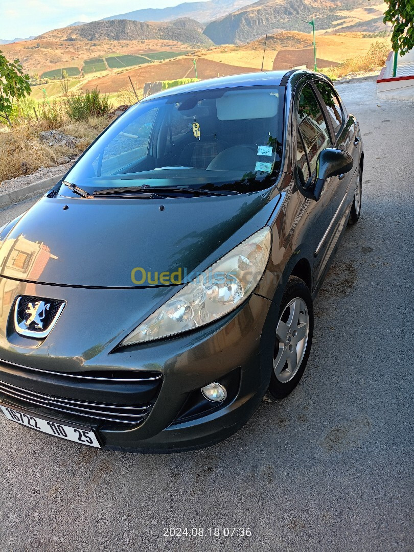 Peugeot 207 2010 207