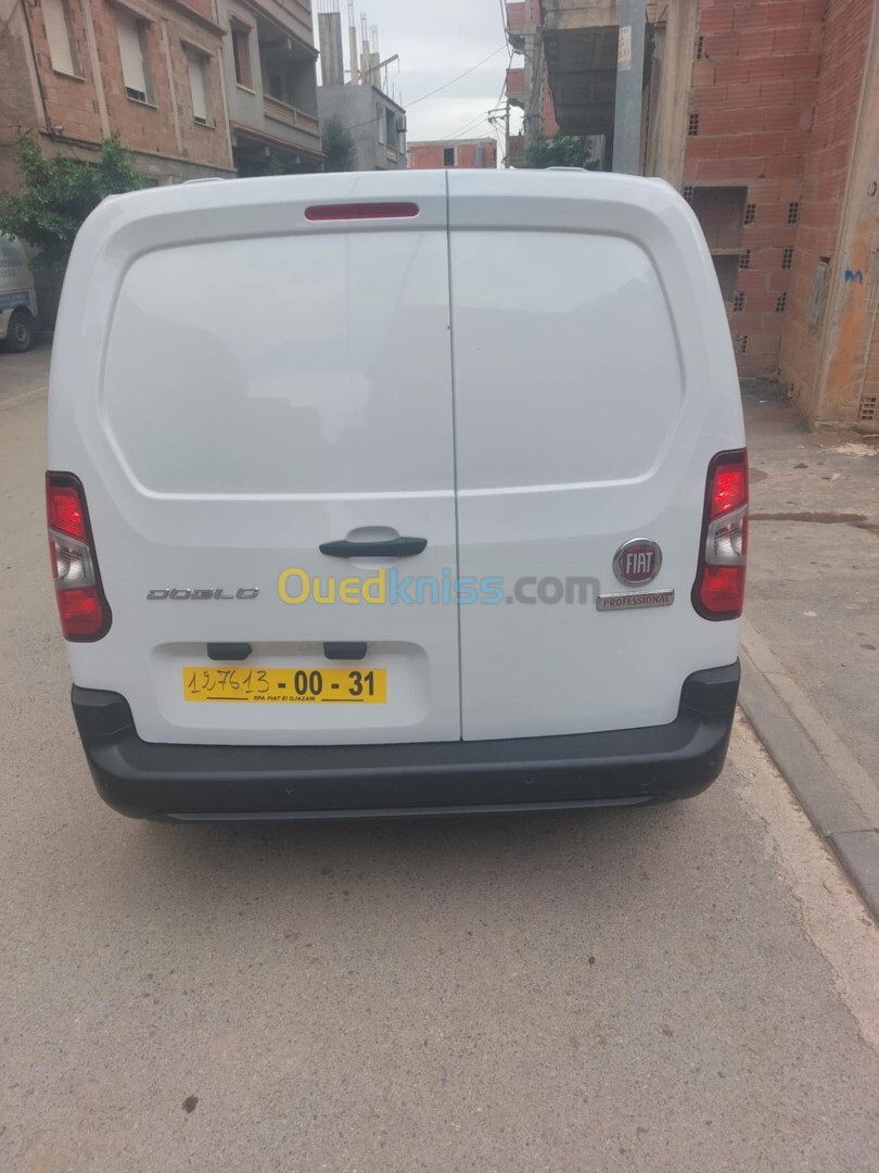 Fiat Doblo 2024 D G