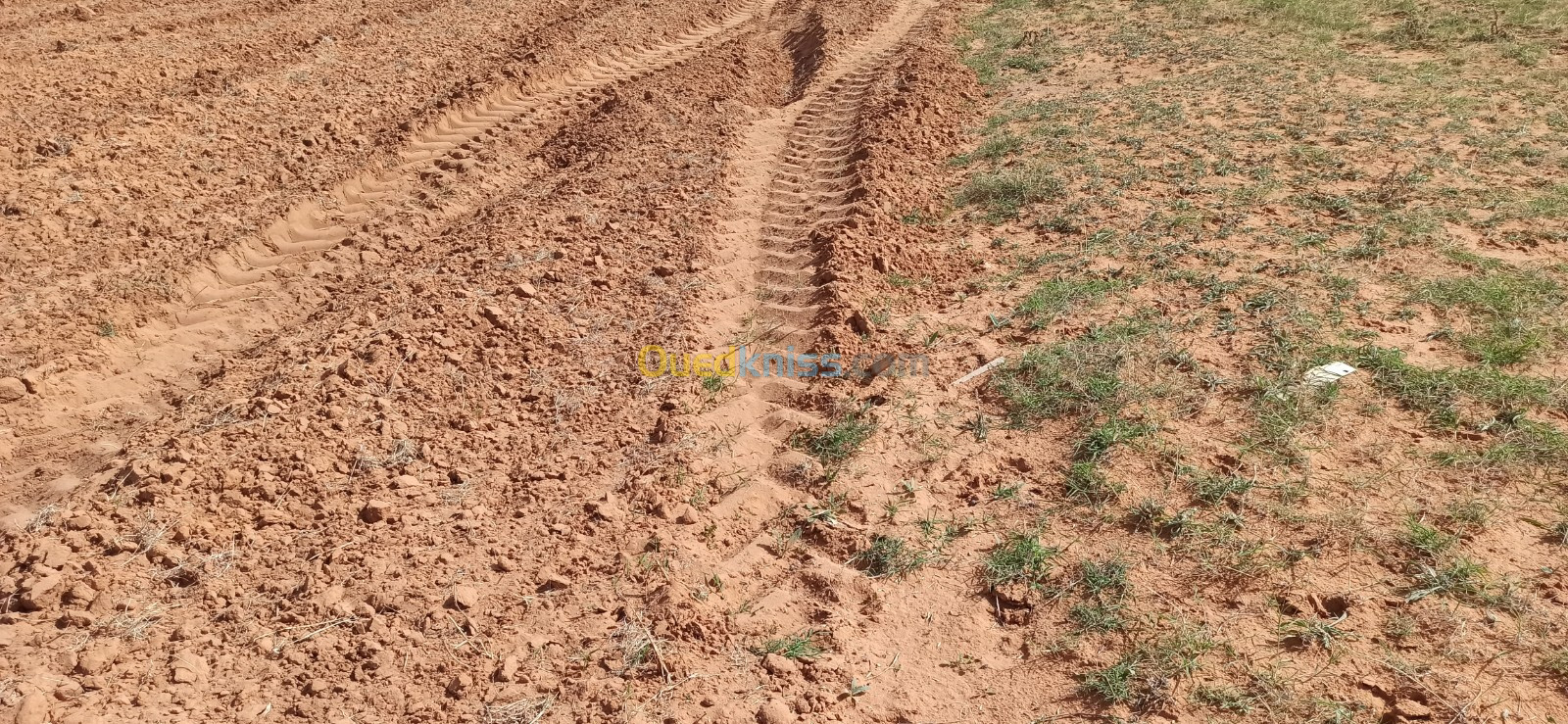 Vente Terrain Agricole Djelfa Ain oussara