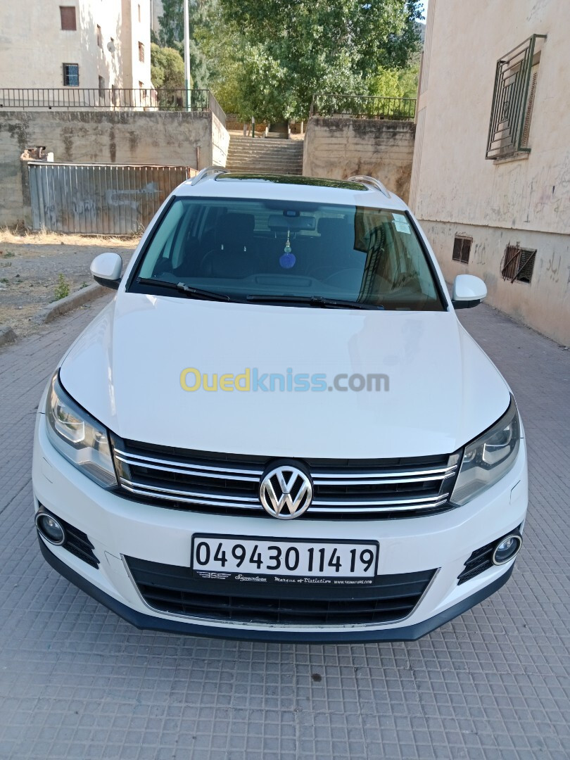 Volkswagen Tiguan 2014 Tiguan