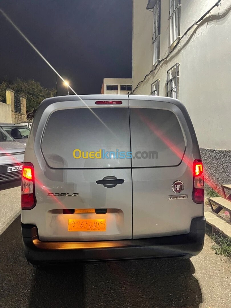 Fiat Fiat Doblo 2p 2024 Doblo professional