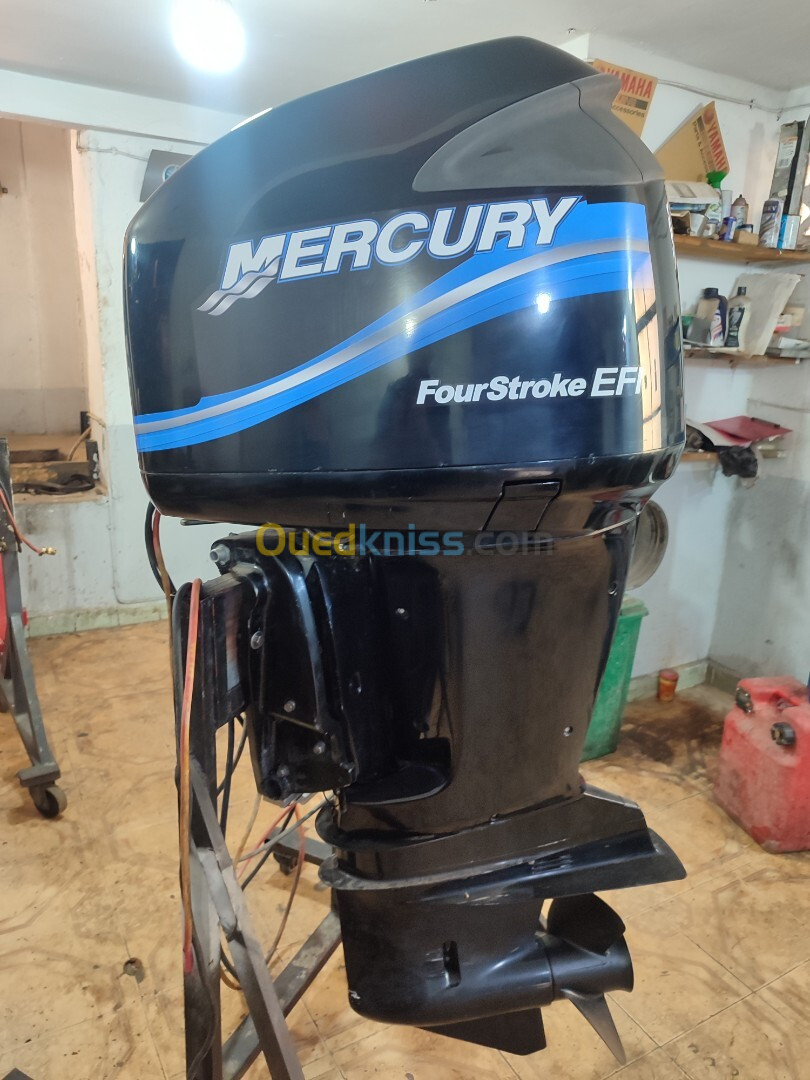 Mercury Yamaha F225 injection 2012