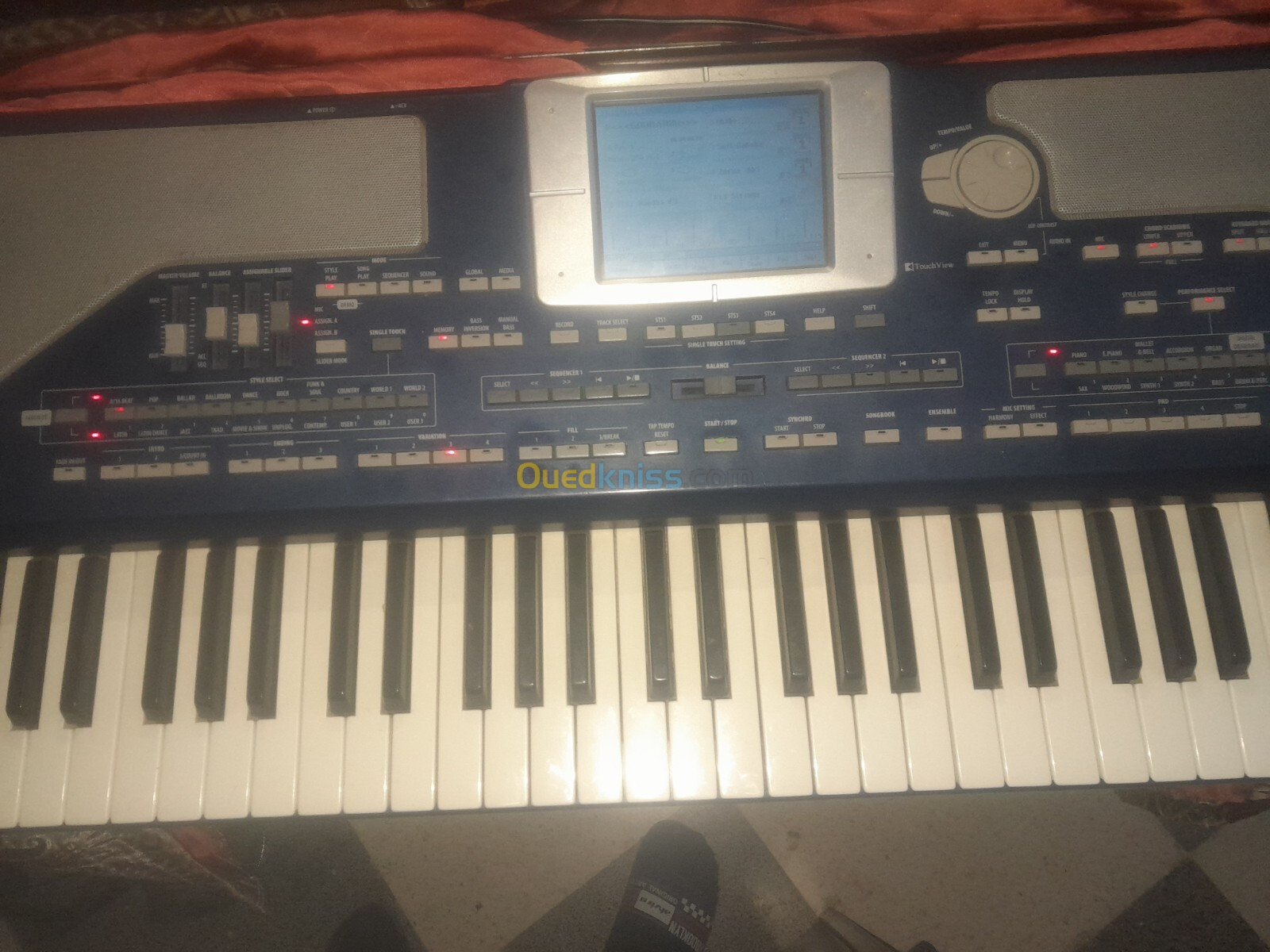 Korg Pa 800 