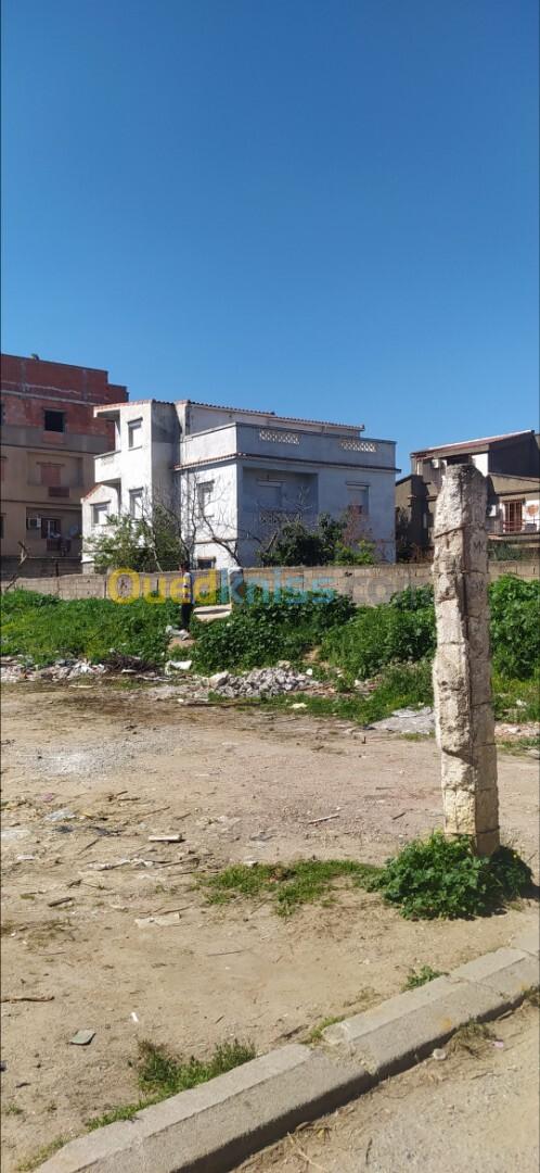 Vente Terrain Alger Reghaia