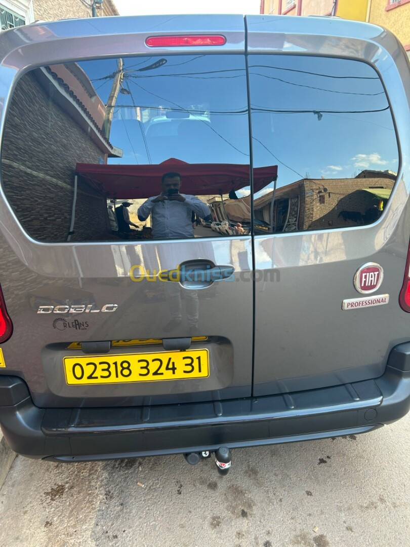 Fiat Doblo 2024 Professionnel