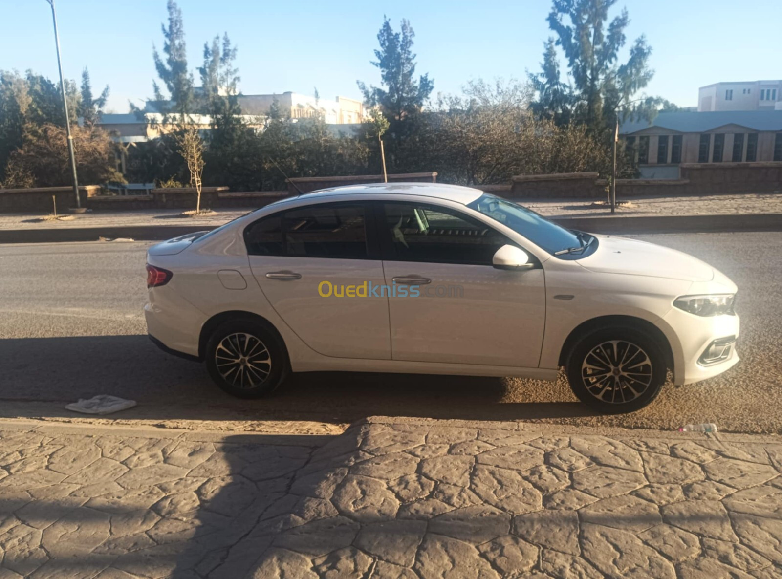 Fiat Tipo 2024 Citi+