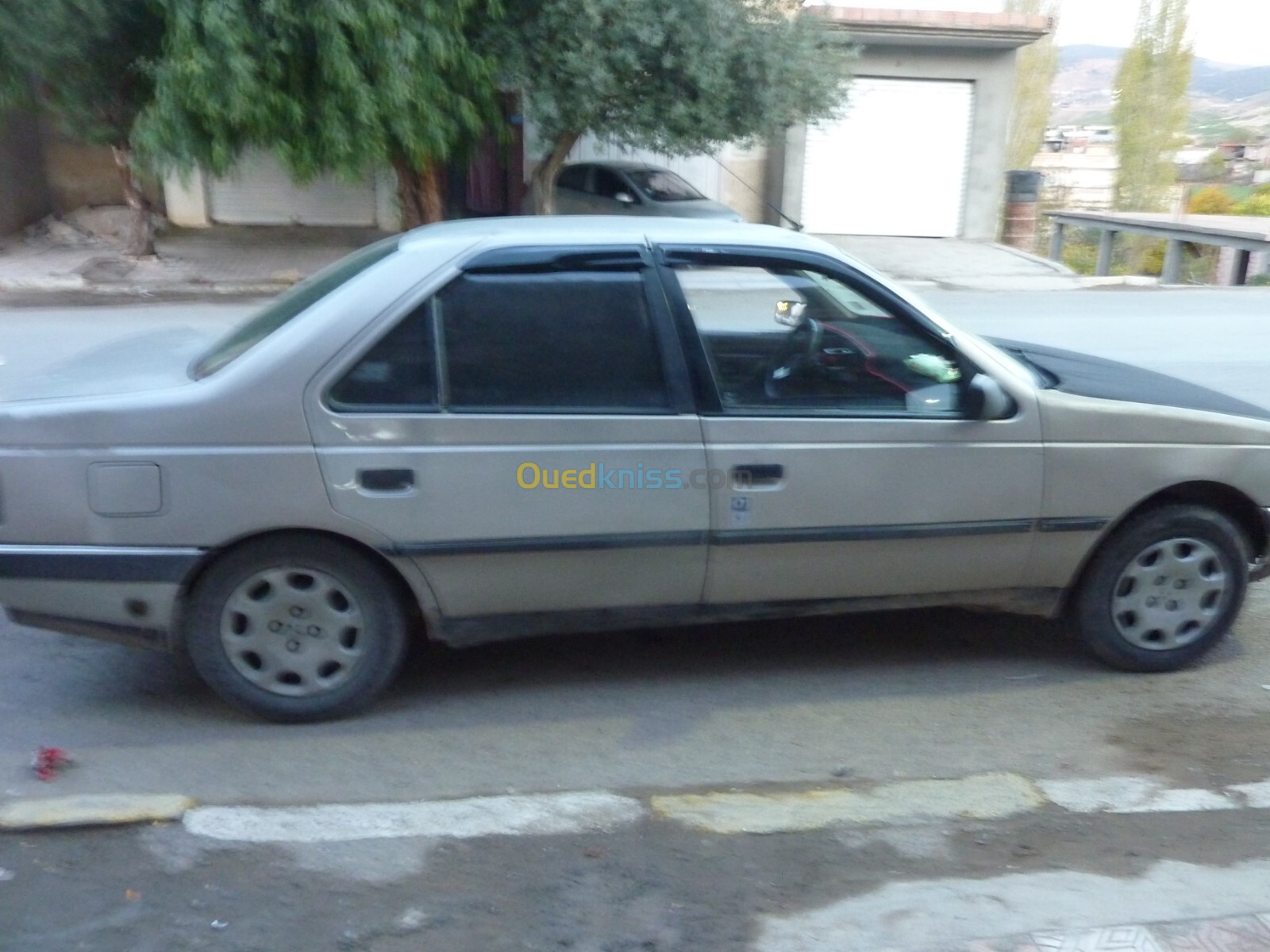 Peugeot 404 1988 404