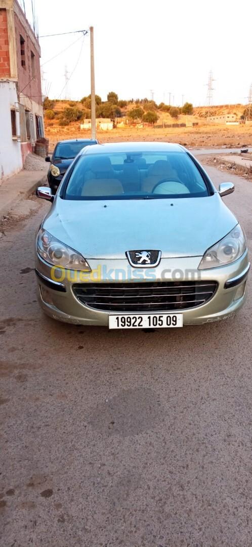 Peugeot 407 2005 407