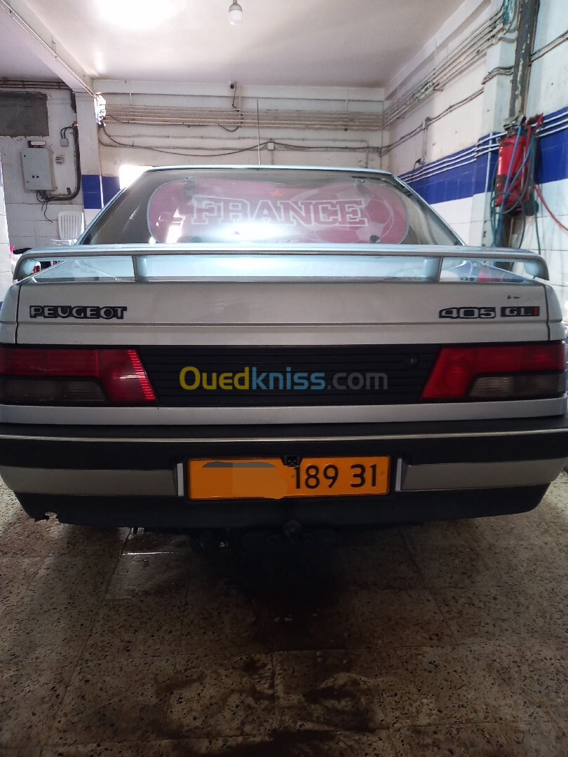 Peugeot 405 1989 405