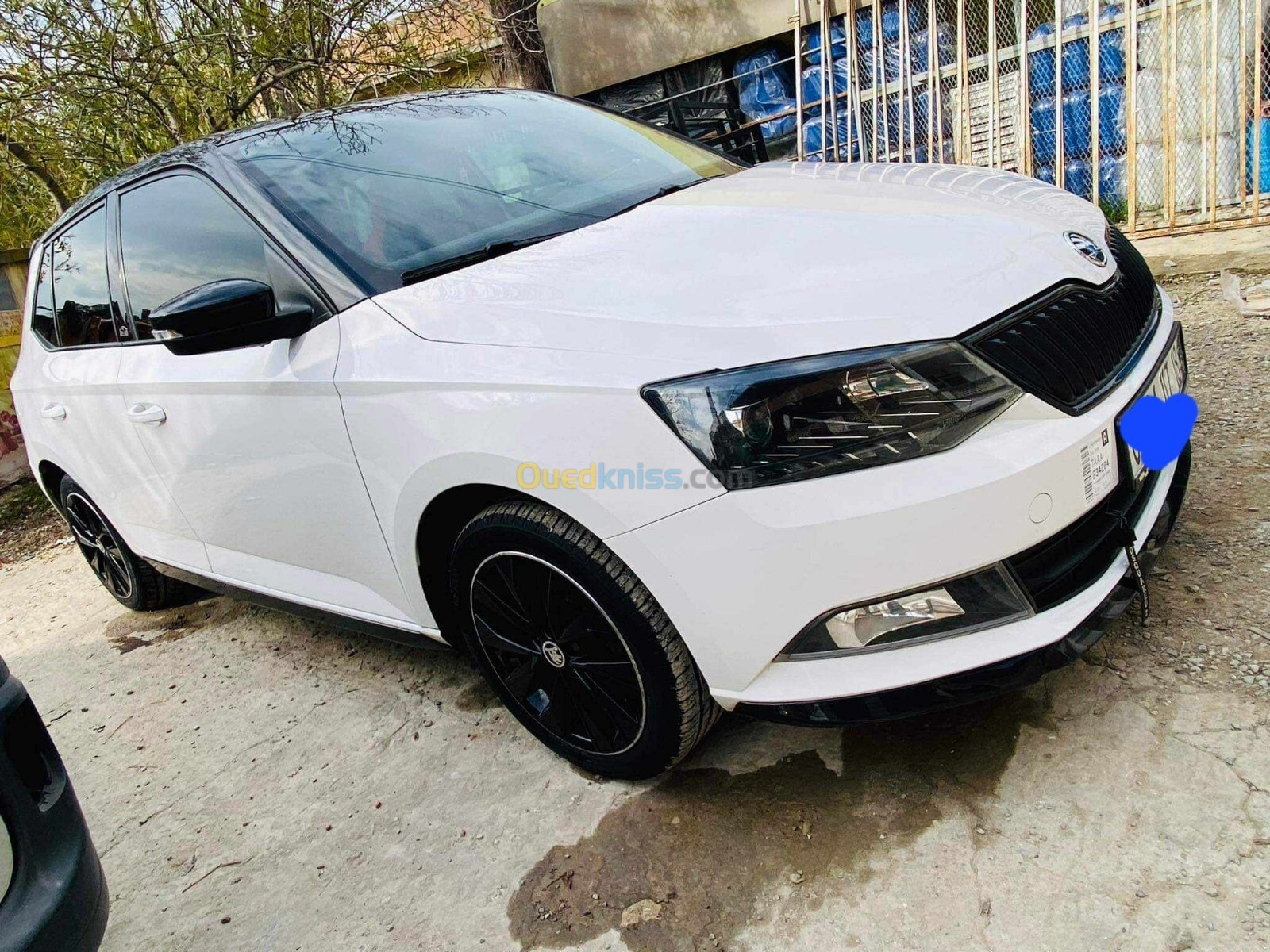 Skoda Fabia 2017 Monte Carlo