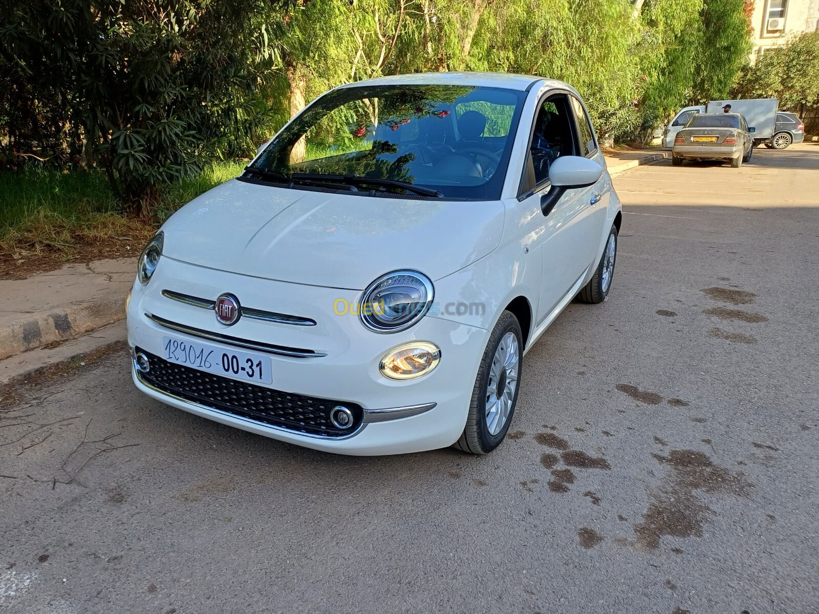 Fiat 500 2024 DolceVita