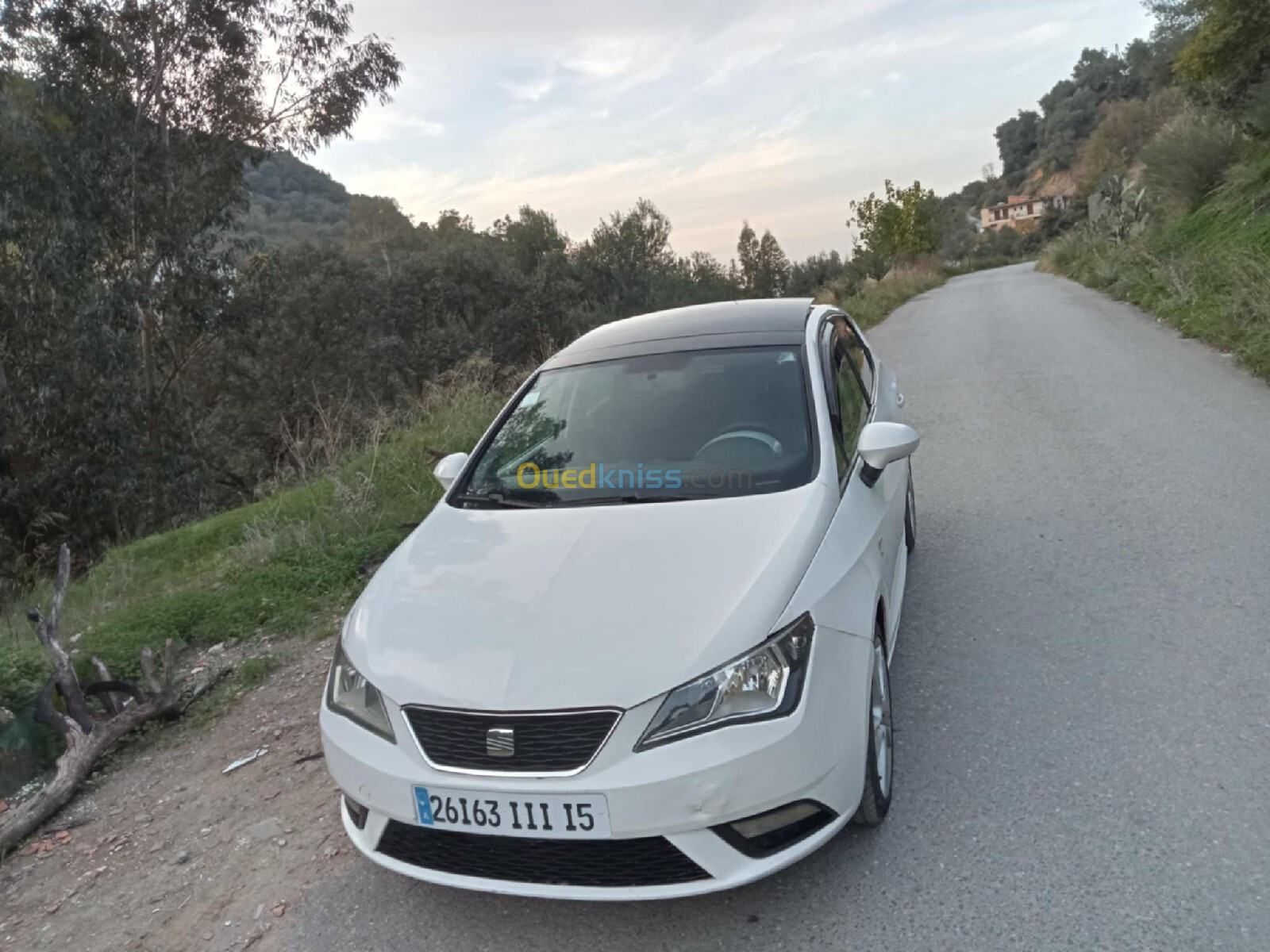 Seat Ibiza 2011 Ibiza