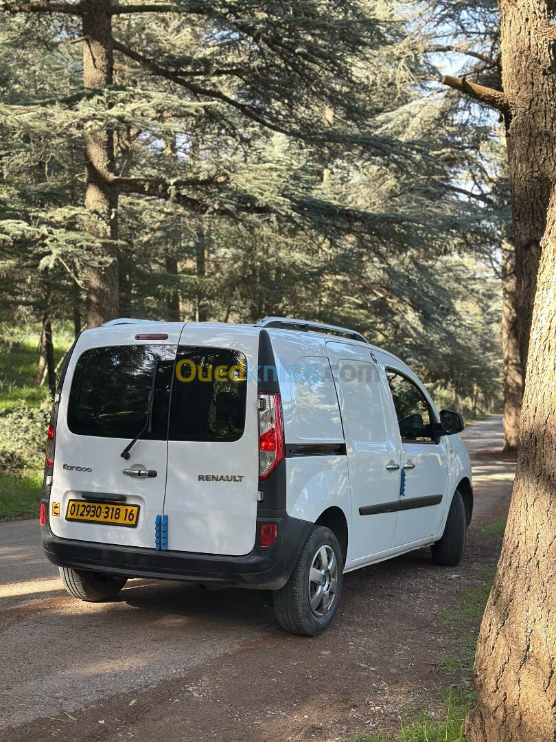 Renault Kangoo 2018 Kangoo