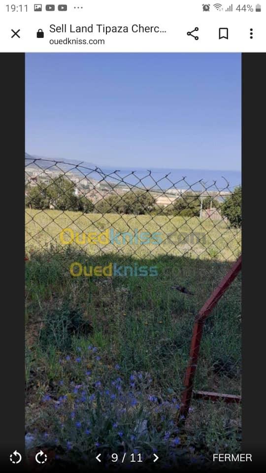 Sell Land Tipaza Cherchell