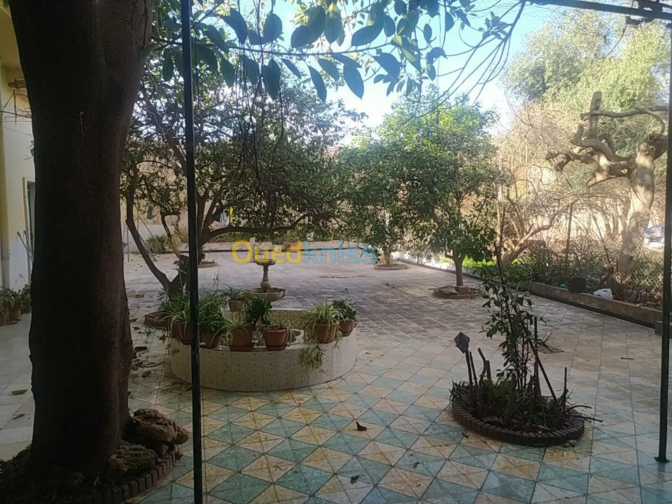 Vente bien immobilier Tlemcen Hennaya