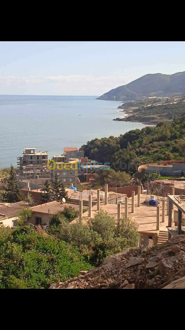 Vente Terrain Tipaza Larhat