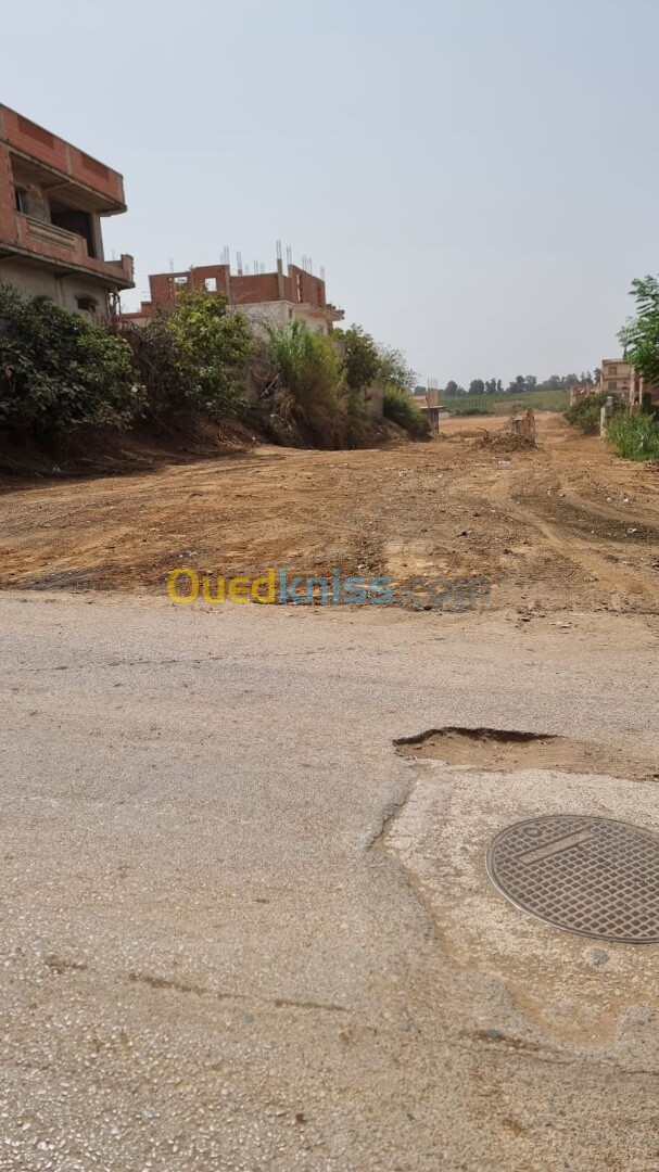 Vente Terrain Boumerdès Ouled hedadj