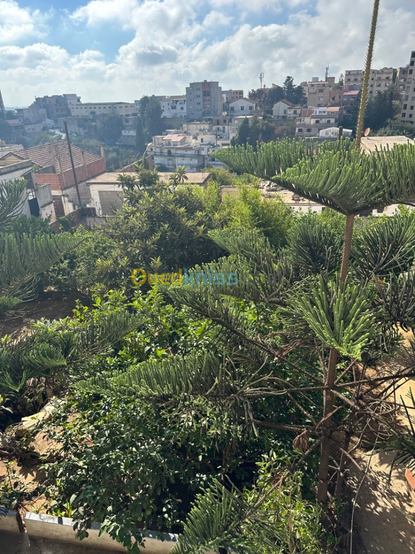 Location Appartement F2 Alger Bouzareah