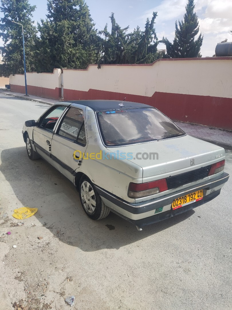 Peugeot 405 1992 405