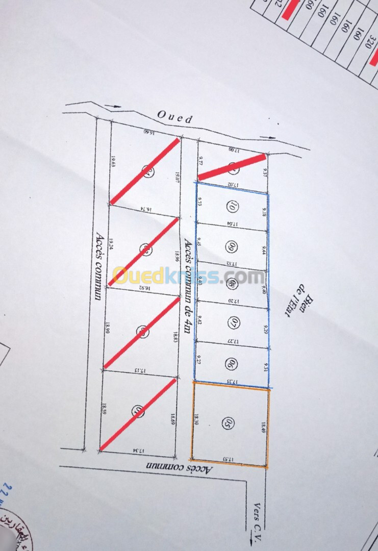 Vente Terrain Blida Bougara