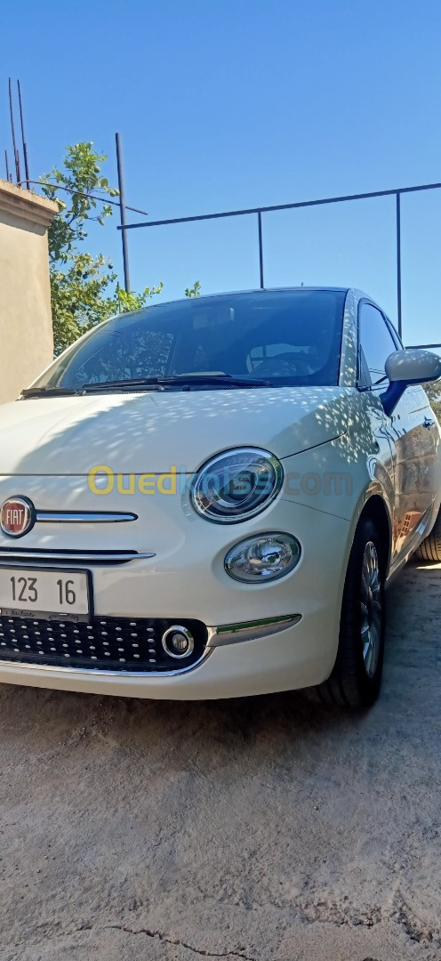 Fiat Fiat500 2023 Clup