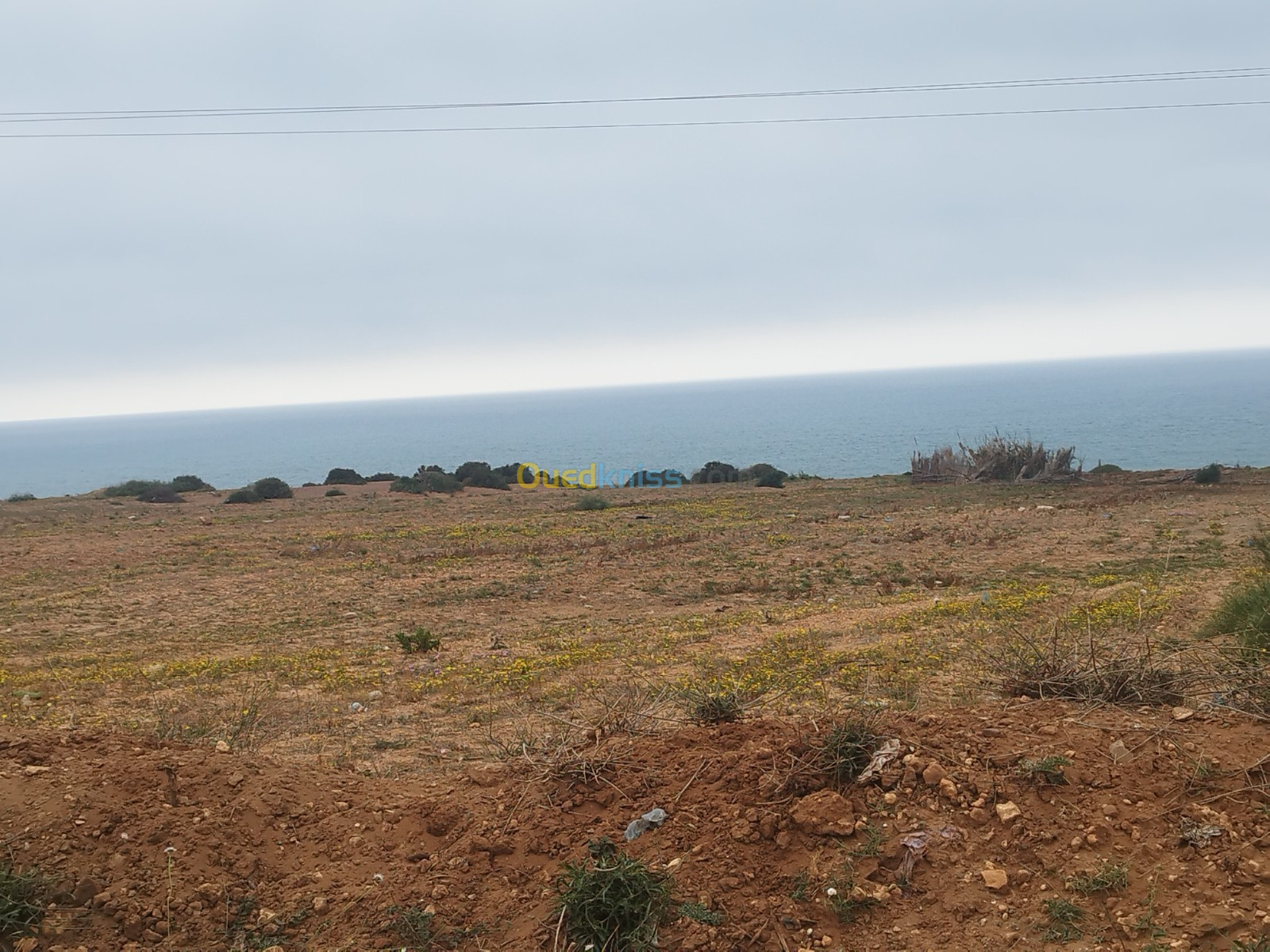 Vente Terrain Mostaganem Abdelmalek ramdane