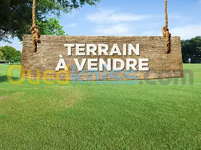 Vente Terrain Agricole Tlemcen Hennaya