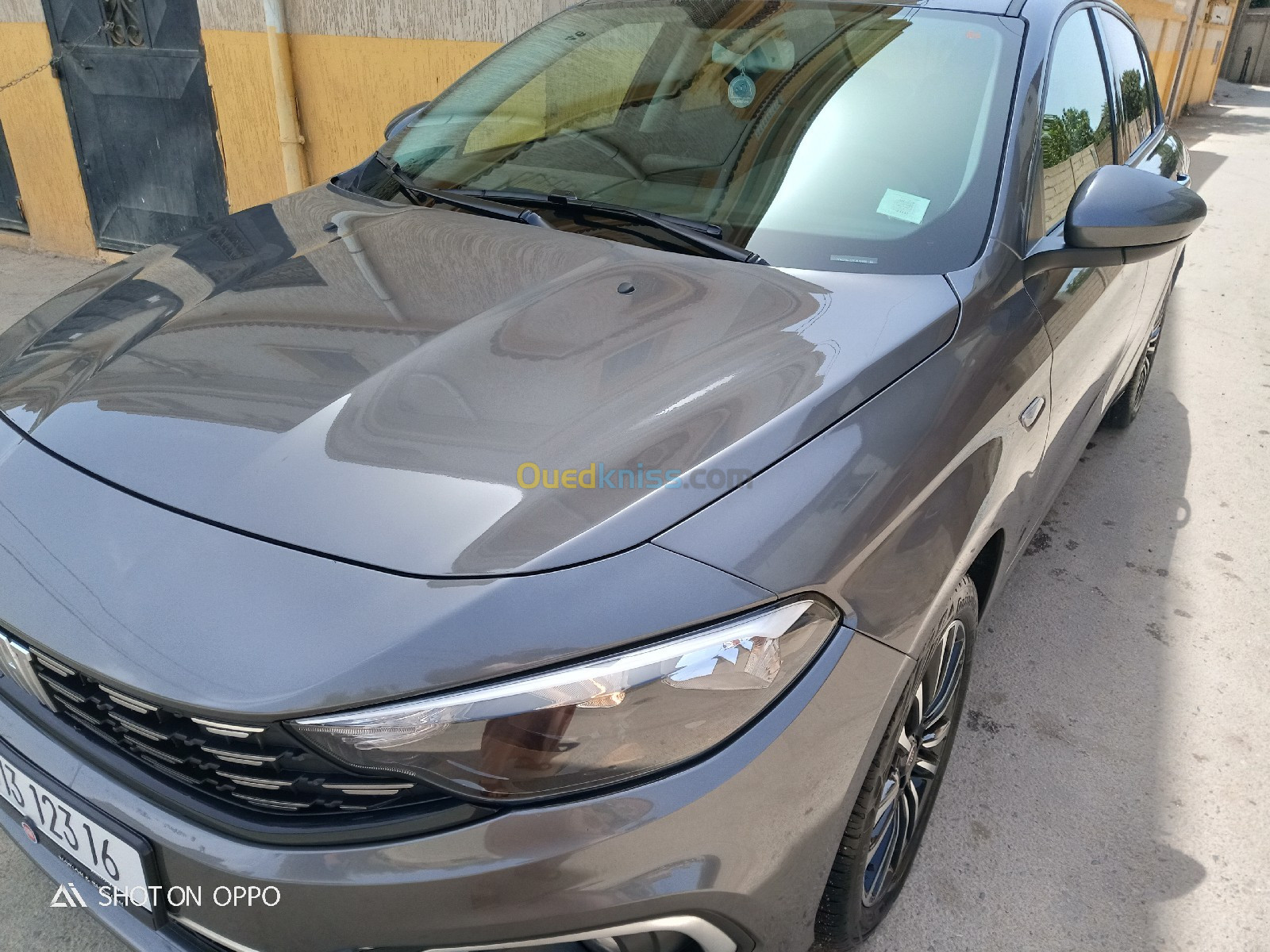 Fiat Live 2023 Tipo