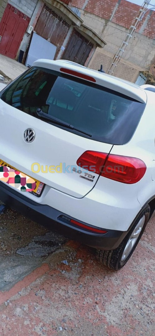 Volkswagen Tiguan 2014 Cup