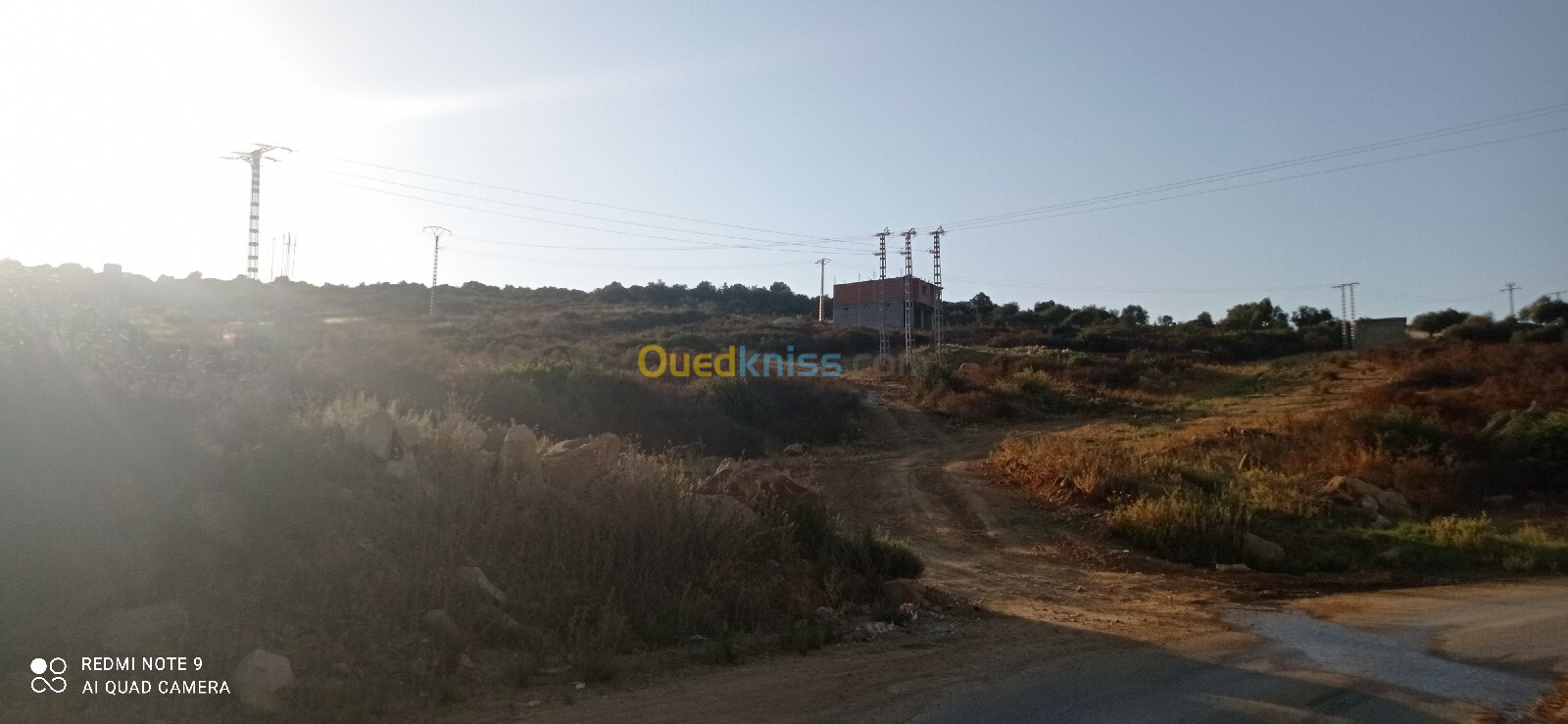 Vente Terrain Skikda Ramdane djamel