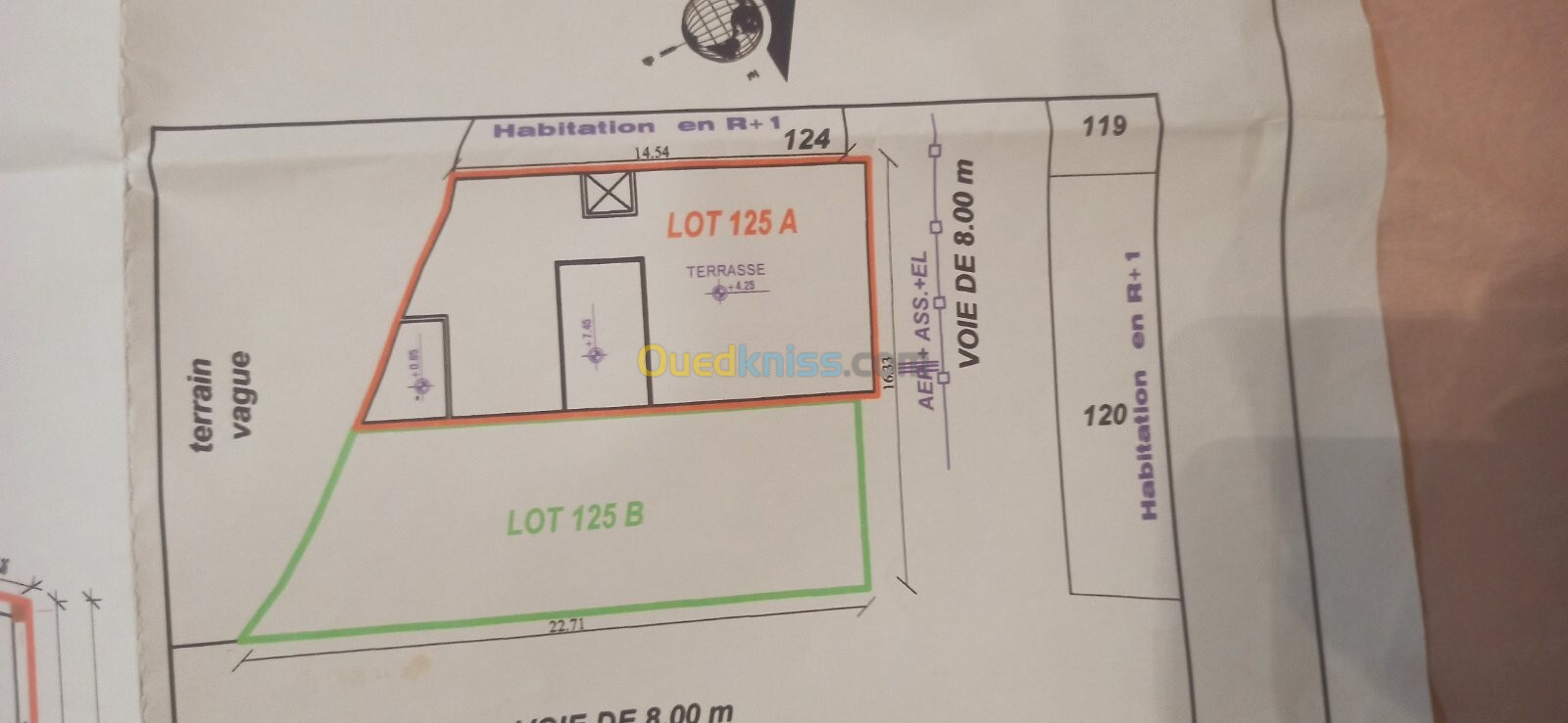 Vente Terrain Tlemcen Tlemcen