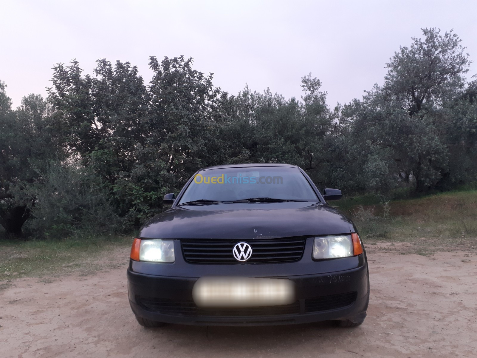 Volkswagen Passat 2000 Passat