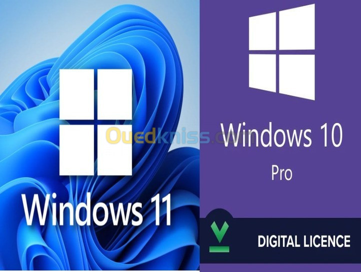 Windows 10 / 11 Professionnel