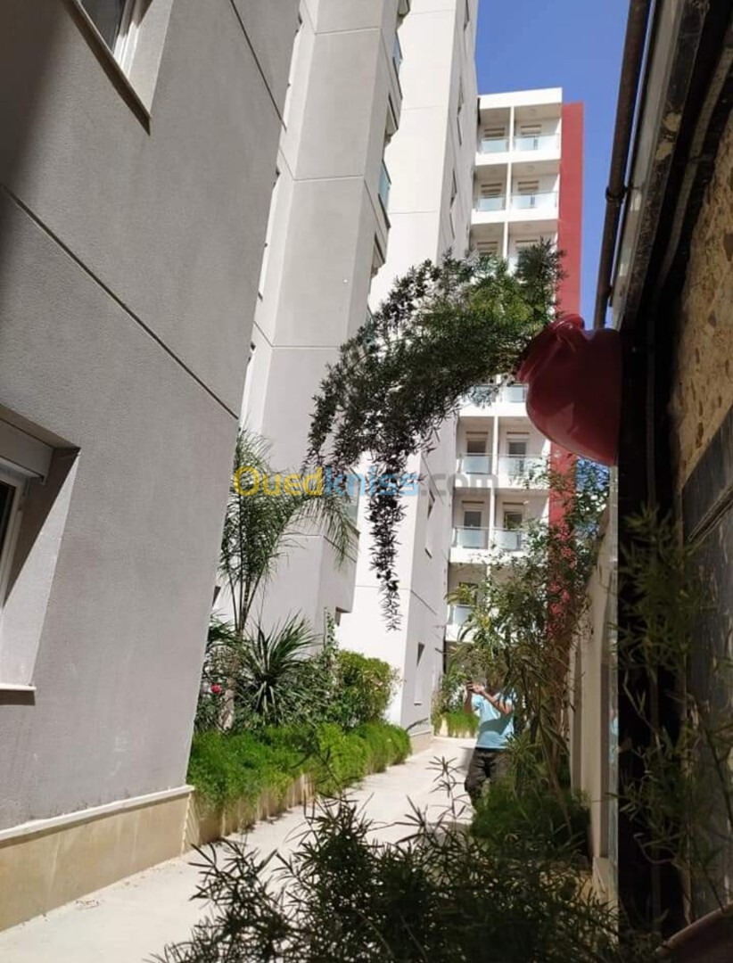 Vente Appartement F4 Alger Cheraga