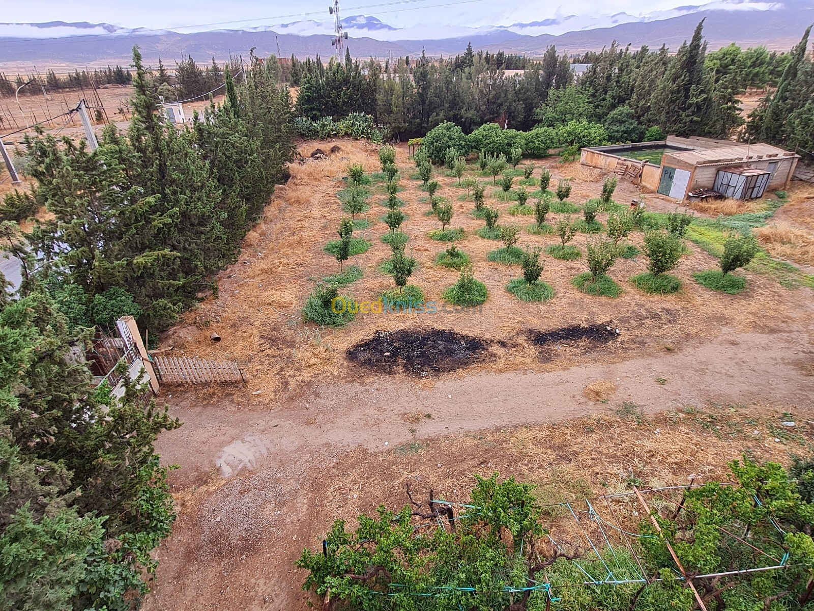 Vente Terrain Agricole Batna Oued chaaba