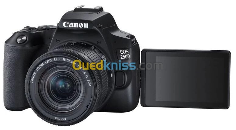 CANON EOS 250D STM Appareil Photo + Objectif EF-S 18-55mm f- 4-5.6 IS STM