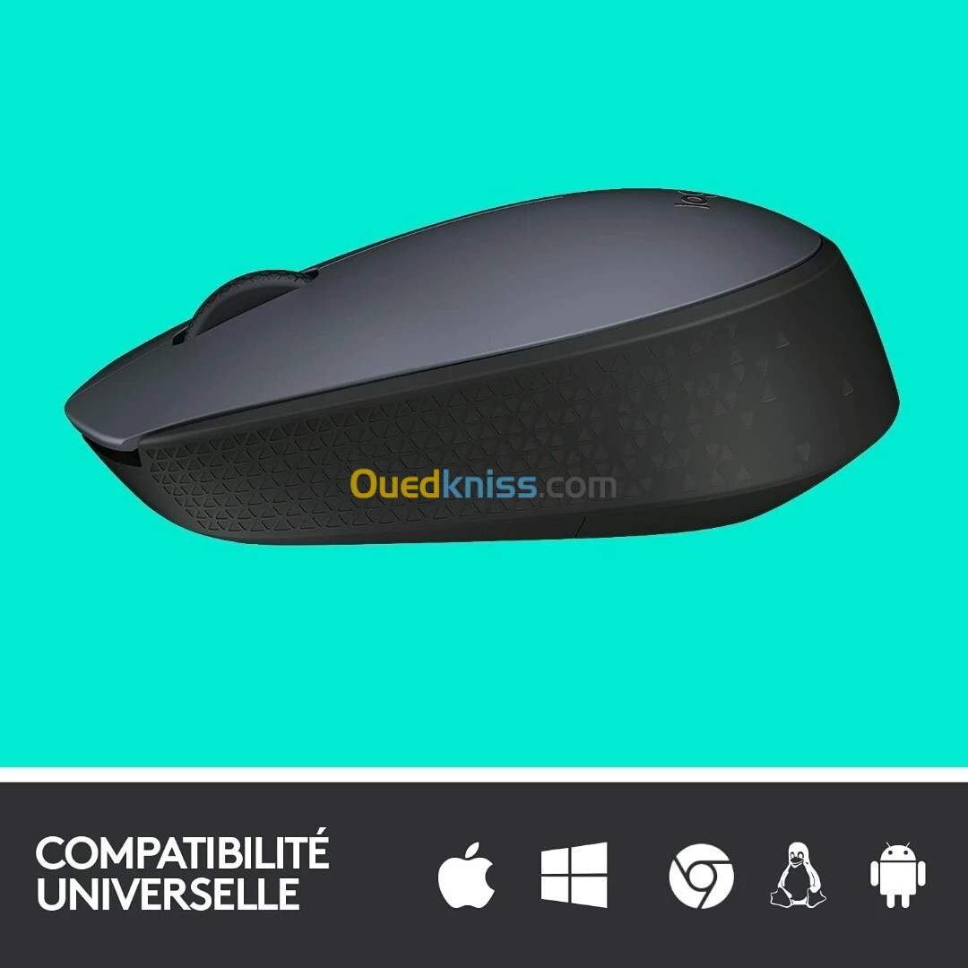 Logitech M170 Wireless Mouse Souris sans fil - ambidextre - capteur optique - 3 bouton