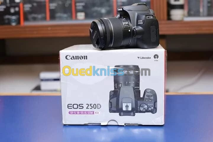 CANON EOS 250D STM Appareil Photo + Objectif EF-S 18-55mm f- 4-5.6 IS STM